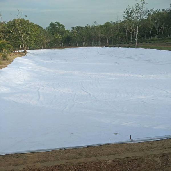 公路養護  瀝青道路專用土工布